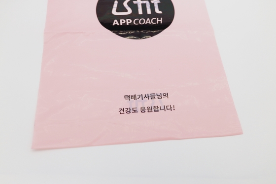 Promotion Zipper Top Biodegradable Poly Bag Plastic Courier Mailing Envelopes