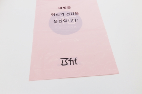Promotion Zipper Top Biodegradable Poly Bag Plastic Courier Mailing Envelopes